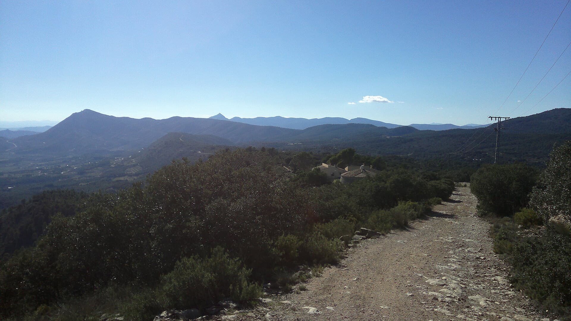 Almendra y Miel, S.A.