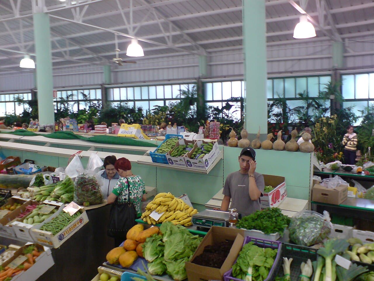 Frutas Benlliure, Castellón de la Plana/Castelló de la Plana