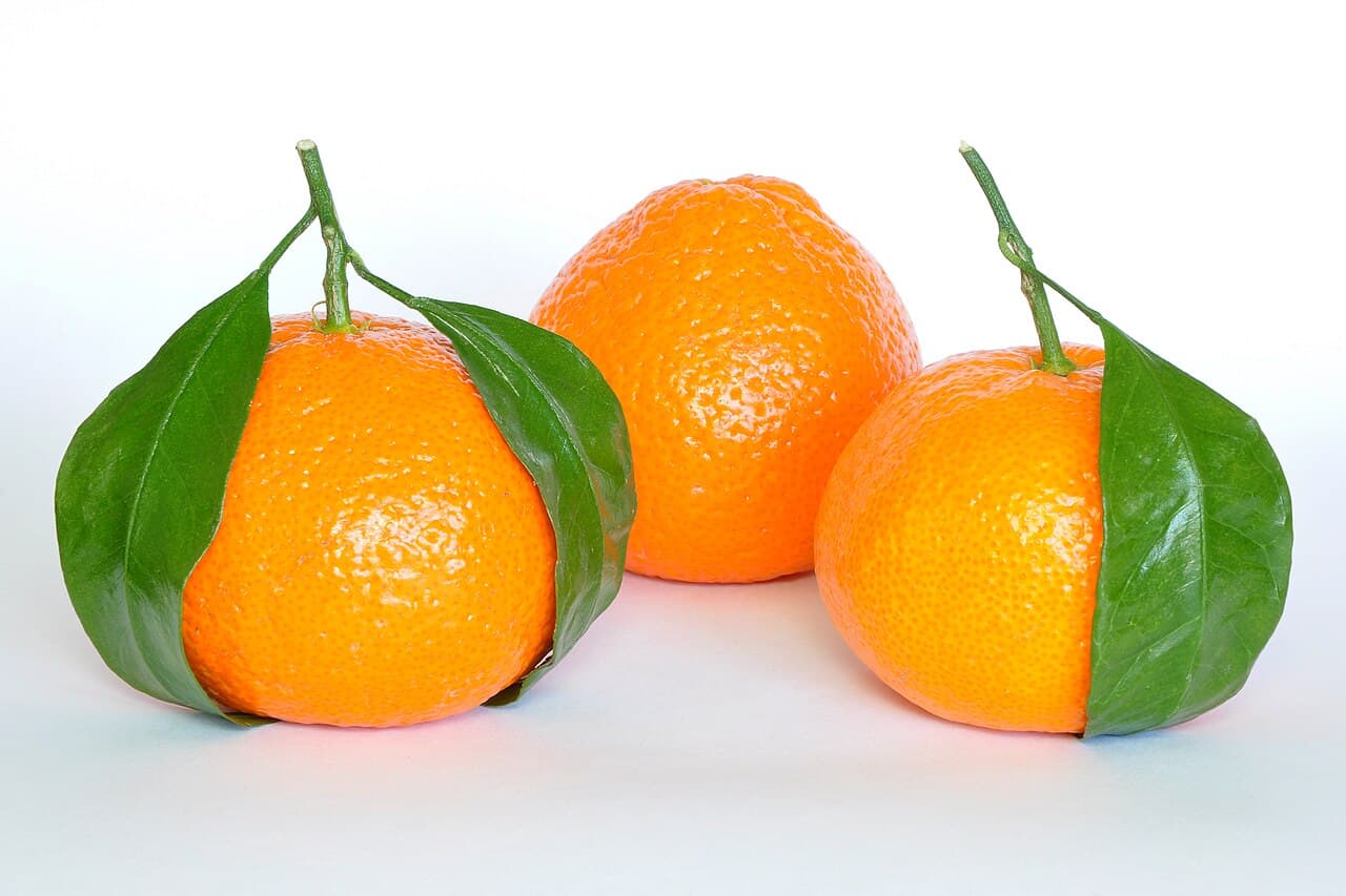 Frutería La Huerta, La Línea de la Concepción