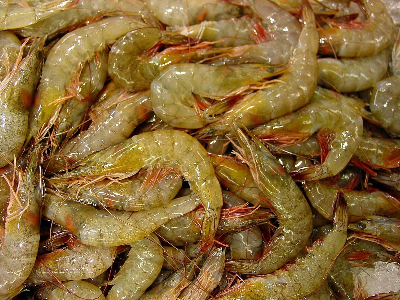 Pescados y mariscos Tito, Oviedo