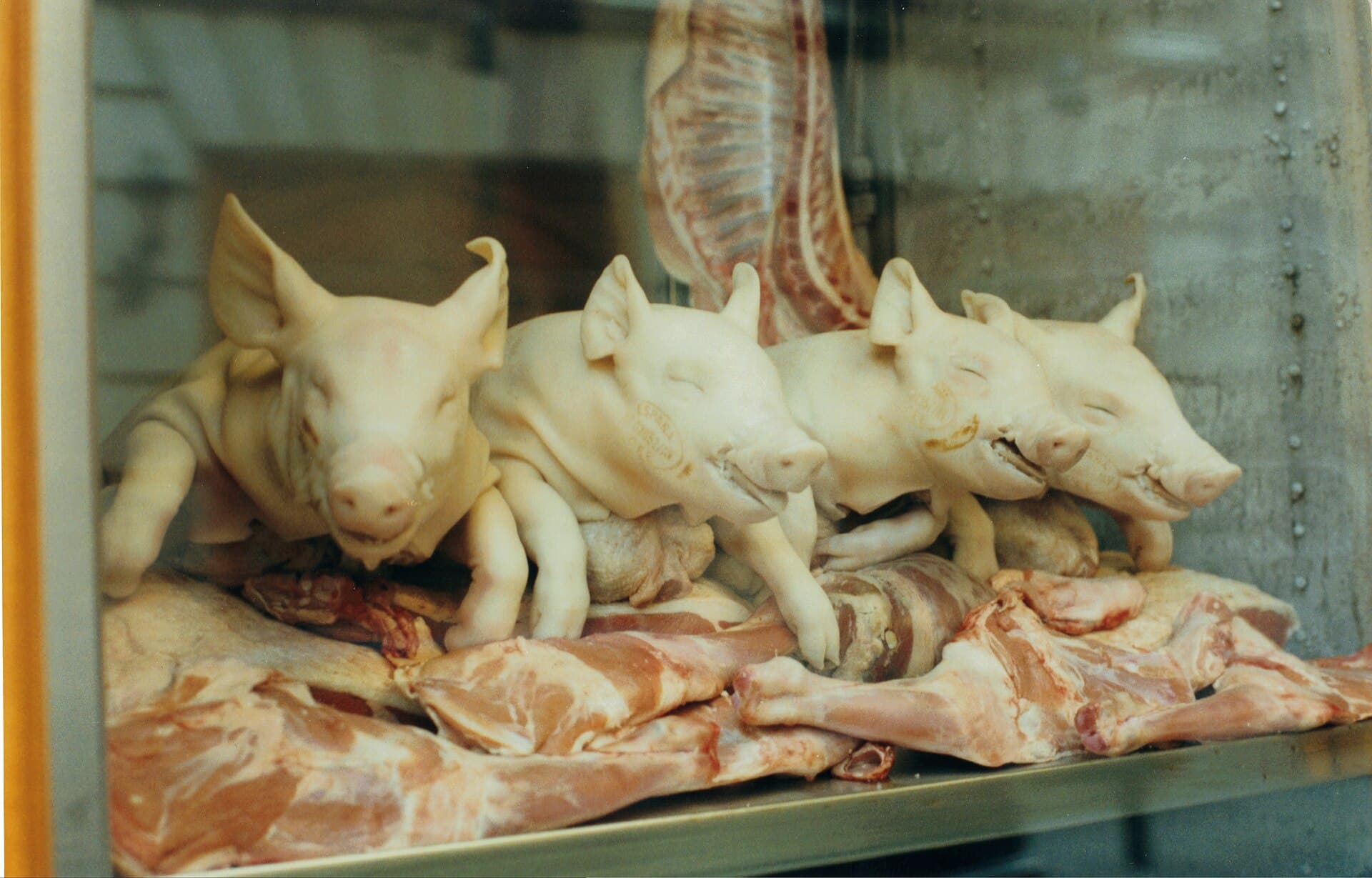 Siñeriz Astur Carnes, Madrid